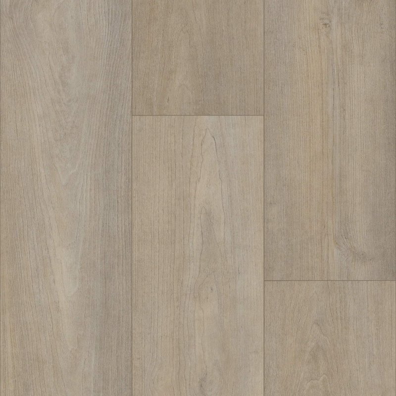 Floorte - Cenere